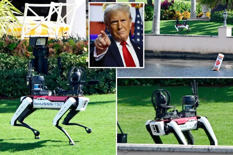 <p><b>Tramp qarorgohini robot itlar qo‘riqlamoqda (video)</b></p>