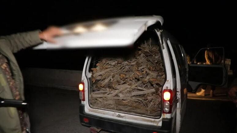 <p><b><strong>Buxoro va Navoiyda saksovullarni sindirgan shaxslarga jami 43,8 mln so‘m jarima belgilandi</strong></b></p>