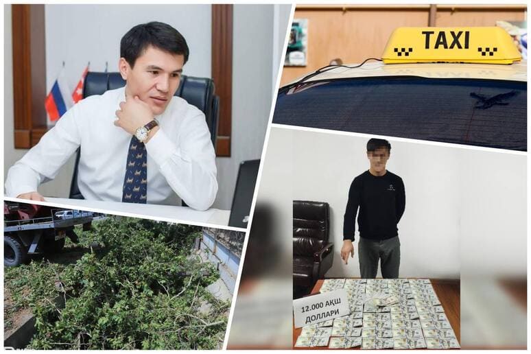 Qimmatlashgan taksi haydovchilari litsenziyasi, Kabul Dusovga ko&lsquo;rilgan chora, kaltaklangan o&lsquo;quvchi: 22-noyabrning eng muhim xabarlari