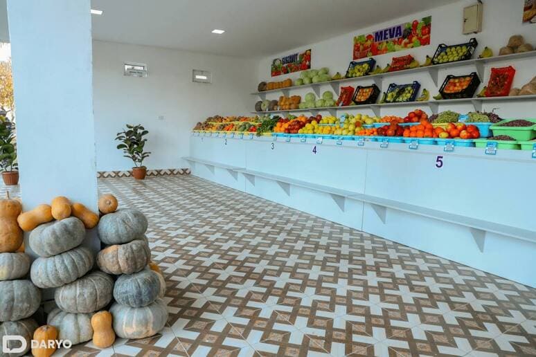 Uzbekistan ranks third in global apricot exports for second consecutive year&nbsp;