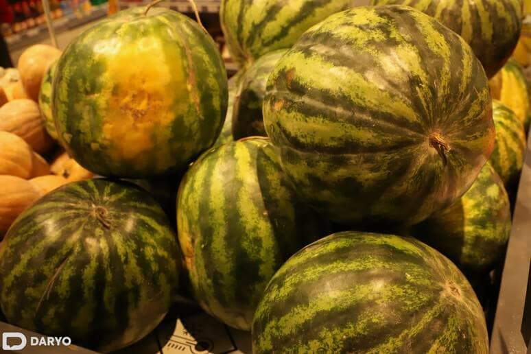 Uzbekistan&rsquo;s 2024 melon harvest sets record as agricultural exports surpass $1bn&nbsp;