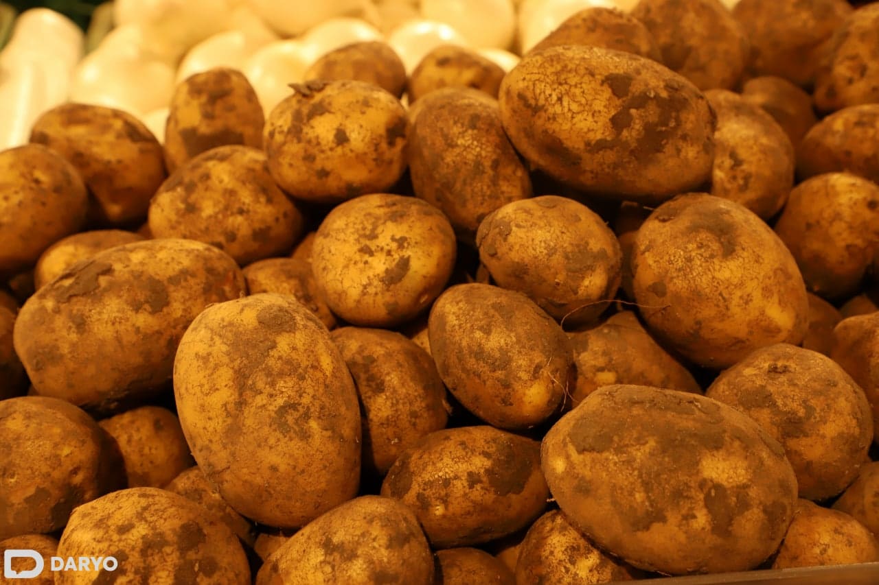 Kazakhstan's potato exports reach $53.7mn in 2023/24 agricultural season