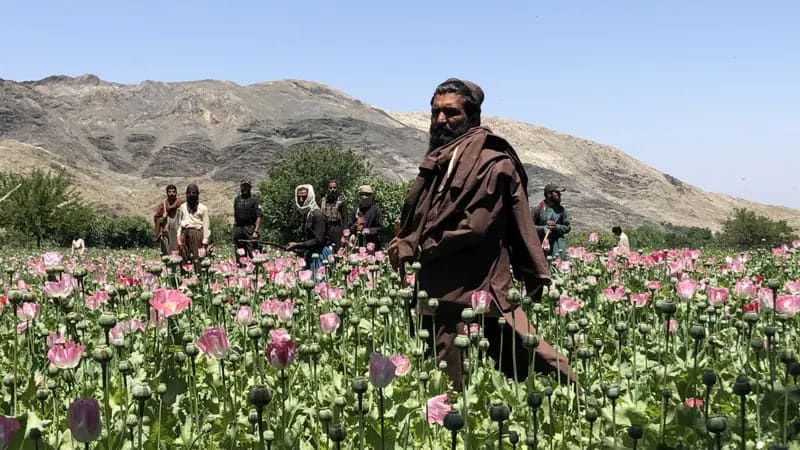 <p><b>&ldquo;Tolibon&rdquo; taqiqiga qaramay Afg&lsquo;onistonda opium ishlab chiqarish yana oshdi</b></p>