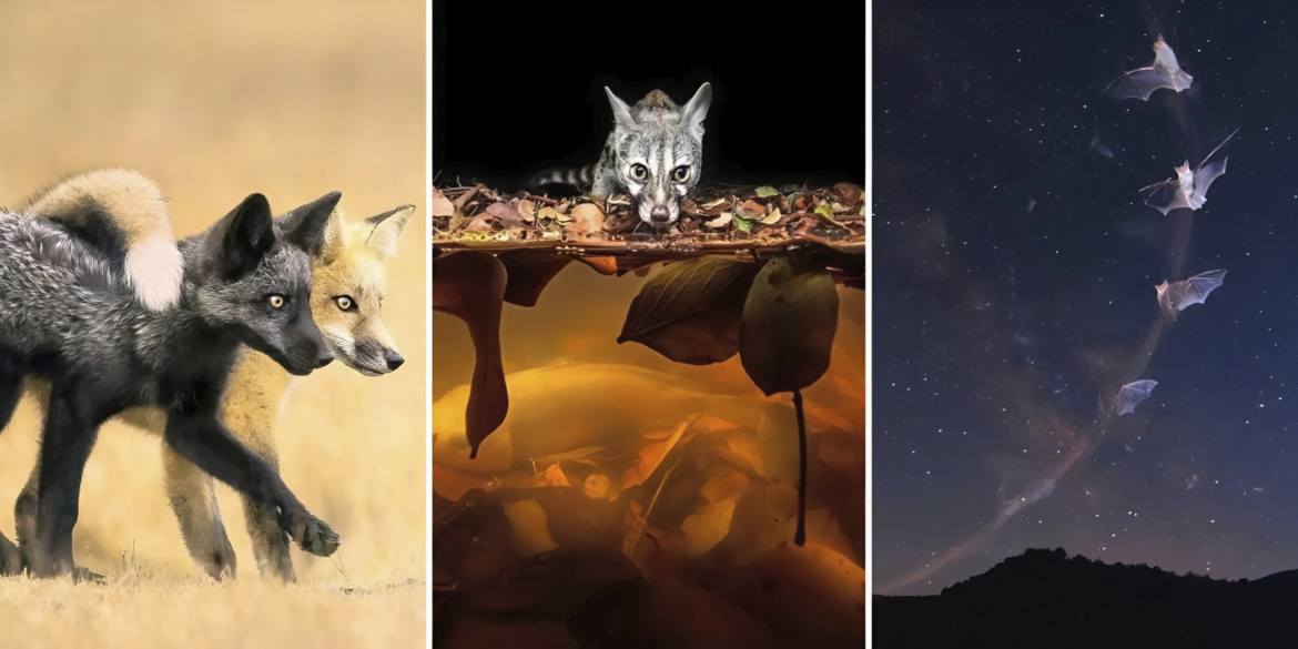 Biatlonchilarning yalangoch fotosuratlari