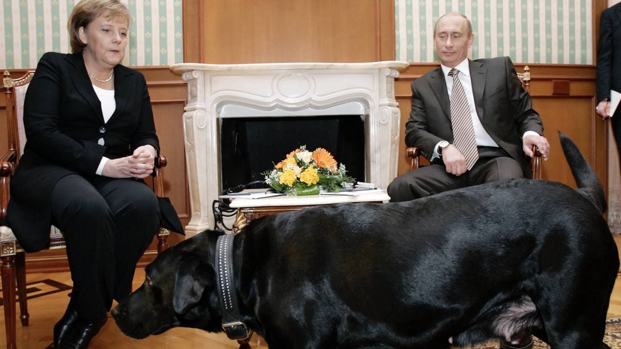 <p>&lsquo;Angela, forgive me,&rsquo; Putin apologizes to Merkel for causing discomfort with pet dog during 2007 meeting<b>&nbsp;</b></p>