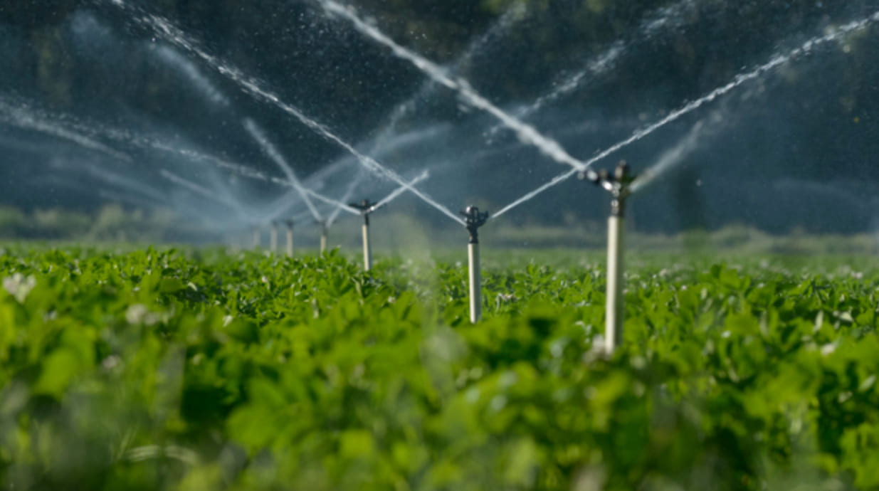 Uzbekistan approves major irrigation projects in partnership with Chinese firms&nbsp;