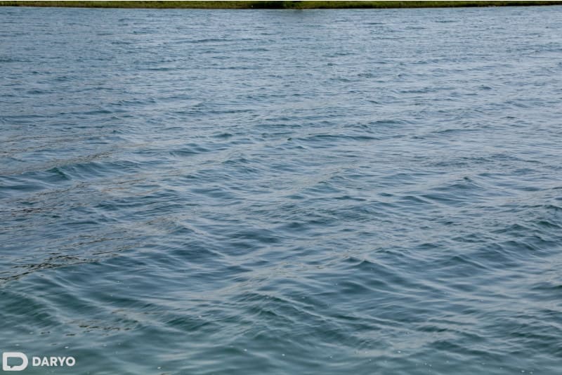 Uzbekistan's Denov district implements irrigation upgrades to save 12mn сubic meters of water&nbsp;