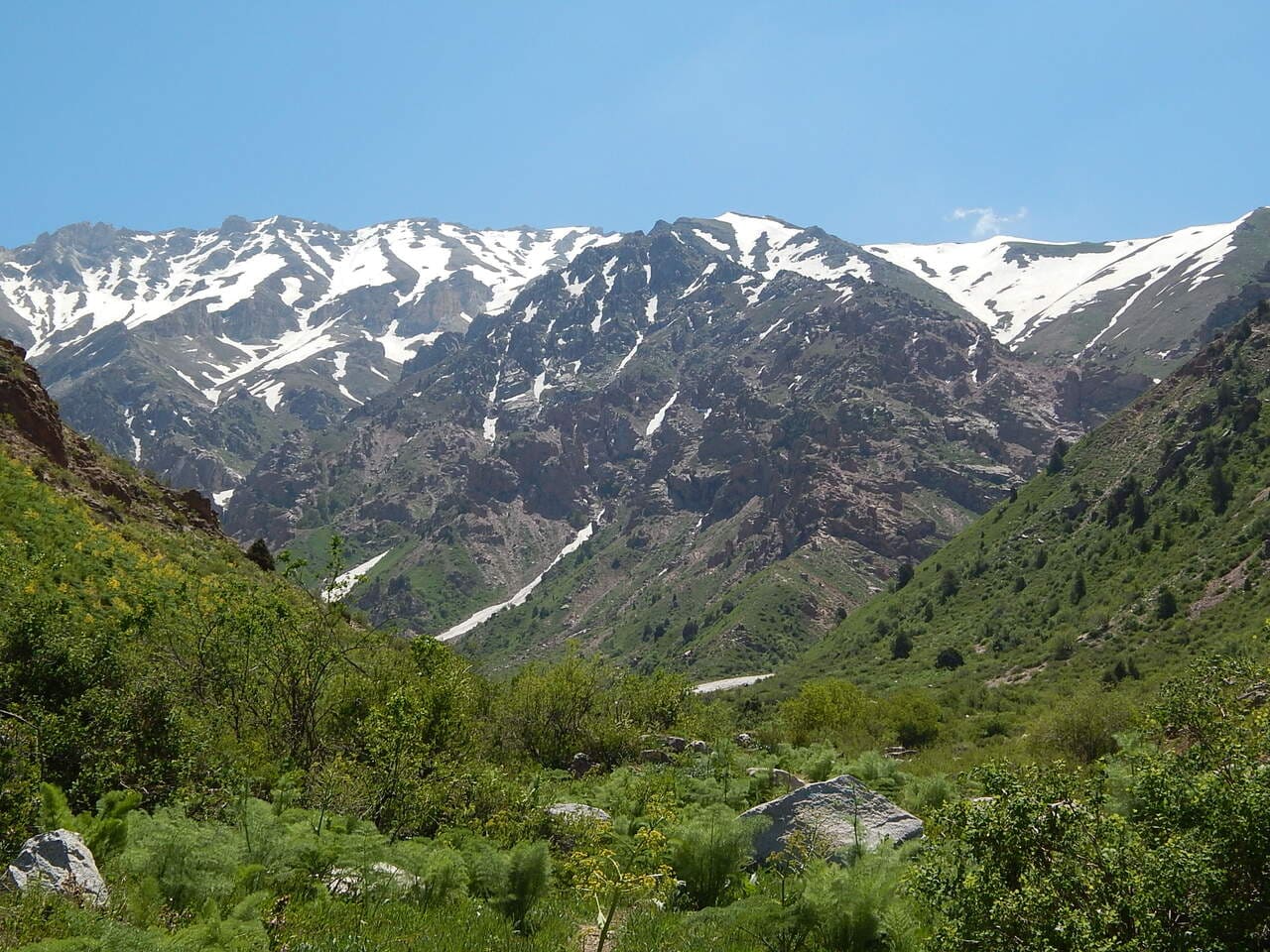 <p><strong>Uzbekistan to establish Gelon tourist and recreational zone in Kashkadarya region</strong><b>&nbsp;</b></p>
