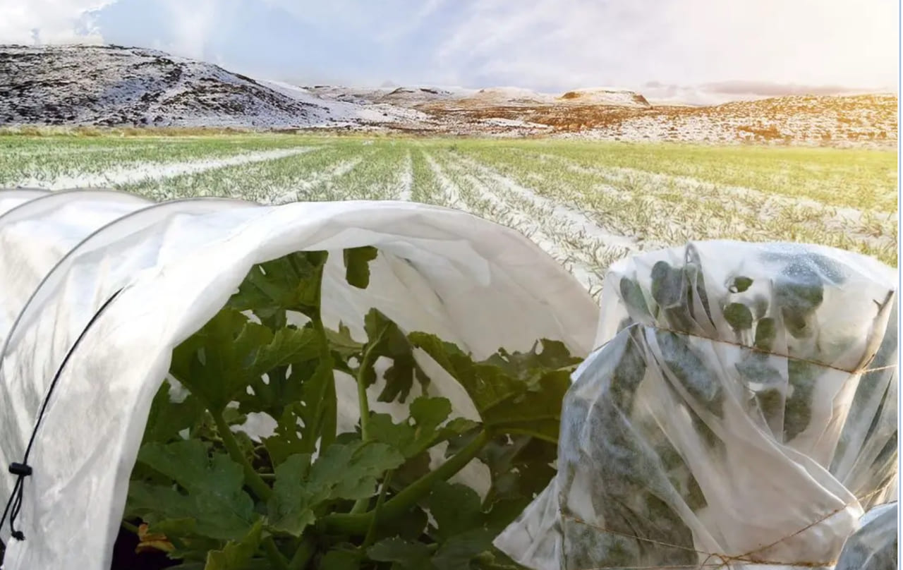 Uzbekistan issues frost protection guidelines for farmers amid cold snap&nbsp;