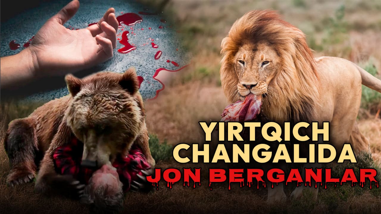 <p><b>Bu — uchinchi fojia. O‘zbekiston hayvonot bog‘larida yirtqichlar qurboniga aylangan insonlar</b></p>