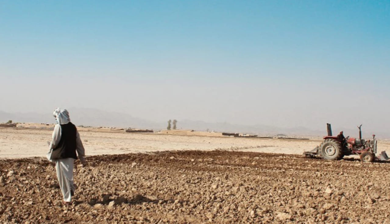 11.6mn people in Afghanistan struggle with food insecurity, says World Bank 