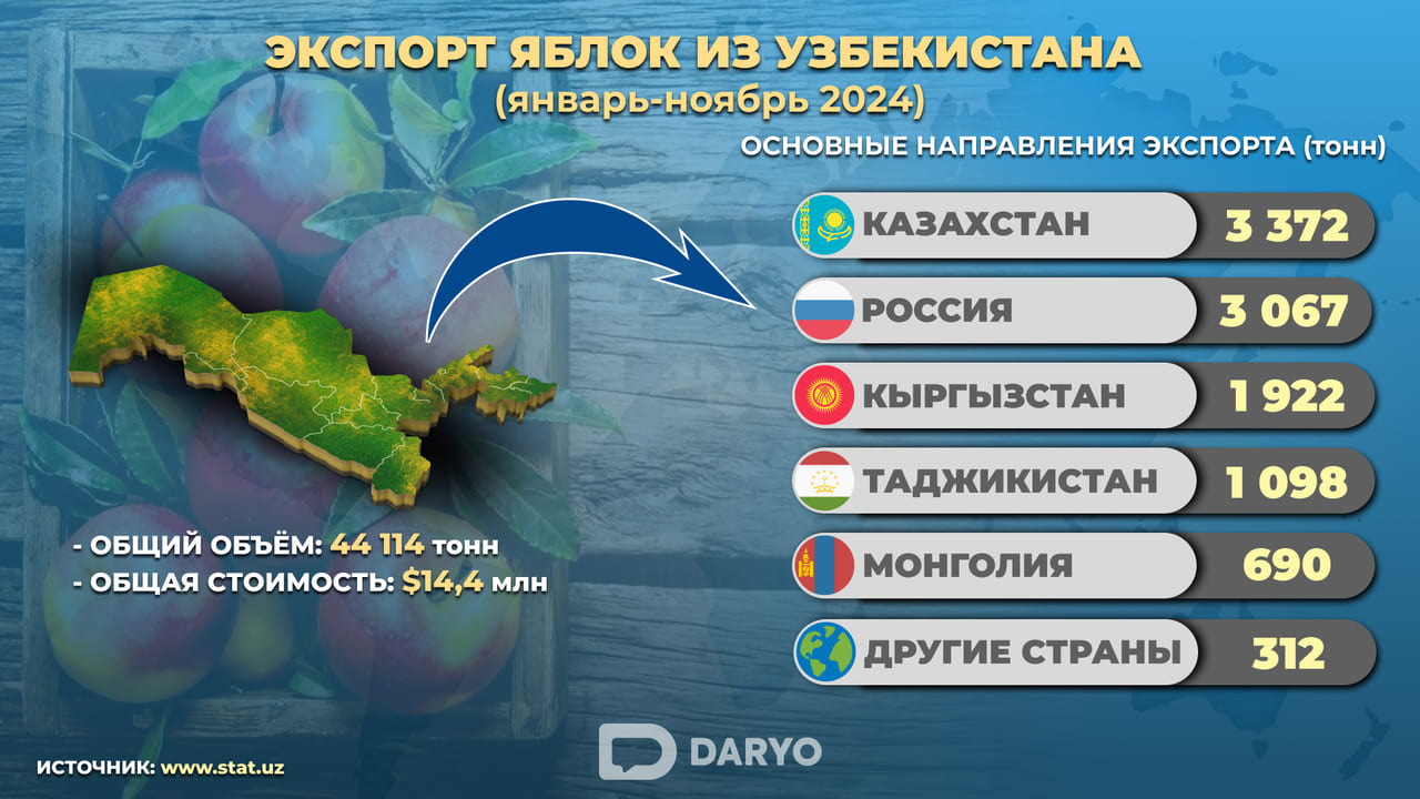 Казахстан стал ключевым ипортёром яблок из Узбекистана