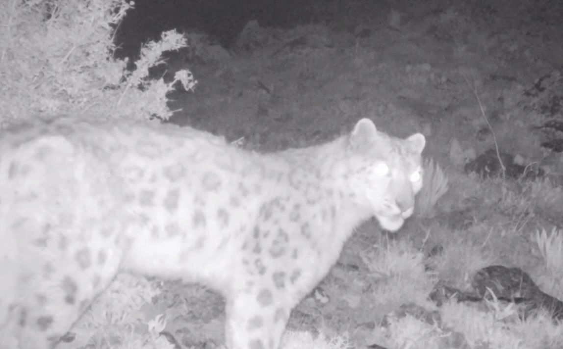 Internetda farrosh ayol bilan porno videolarni tomosha qiling