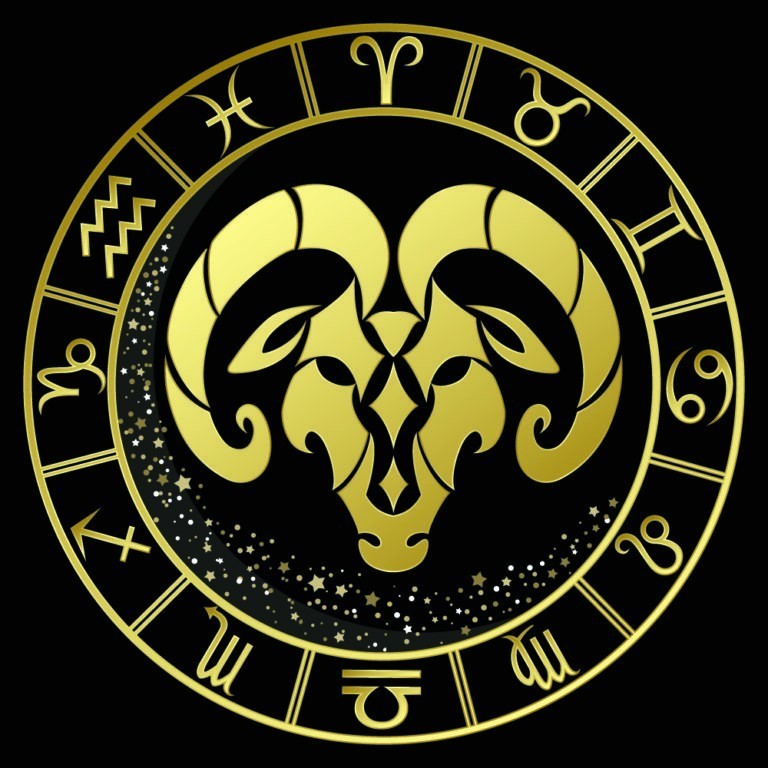 Busty va katta qora xoroz