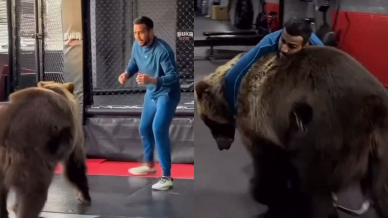 <p><b>Uzbek boxer Shahram G&lsquo;iyosov apologizes following bear grappling video, fined for violating wildlife laws&nbsp;</b></p>