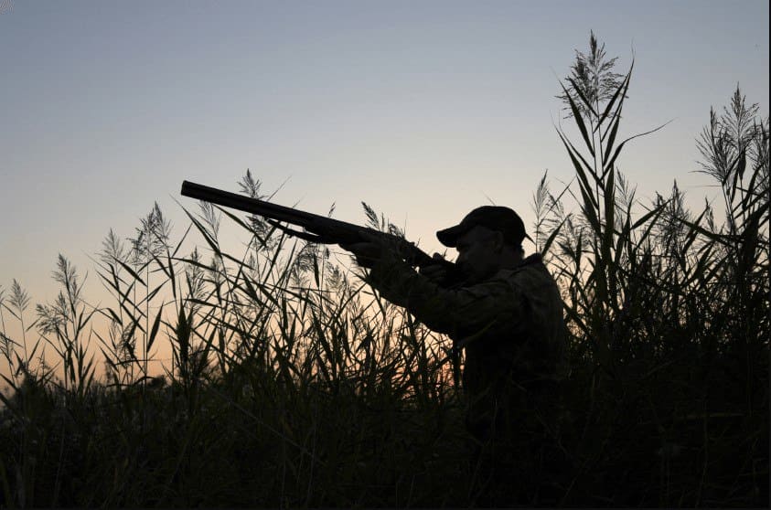 <p><b><strong>O‘zbekiston hududida 2025-yil 1-sentyabrdan 2028-yil 1-yanvargacha ov qilishga moratoriy joriy qilinishi mumkin</strong></b></p>