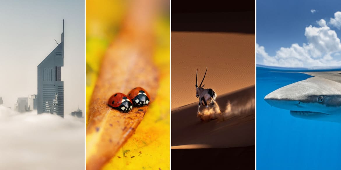 <p><b>Inson va tabiat: Tokyo International Foto Awards 2024 tanlovida g&lsquo;olib bo&lsquo;lgan suratlar&nbsp;</b></p>