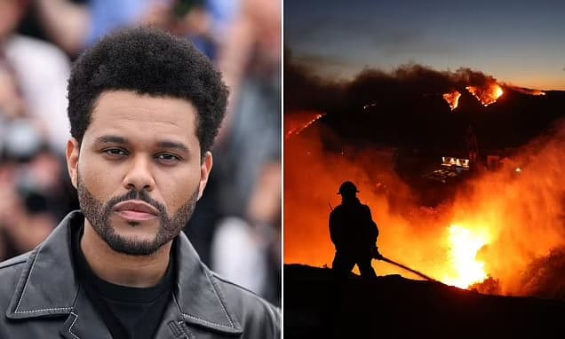 <p><b><strong>Xonanda The Weeknd Los Anjelesdagi yong‘in qurbonlariga 1 million dollar xayriya qiladi</strong></b></p>