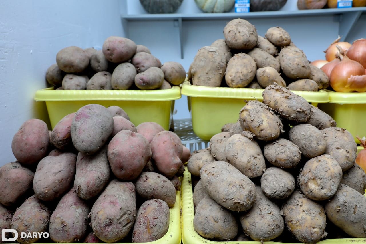 <p><b>O&lsquo;zbekistonda kartoshka narxi qachon tushadi?</b></p>