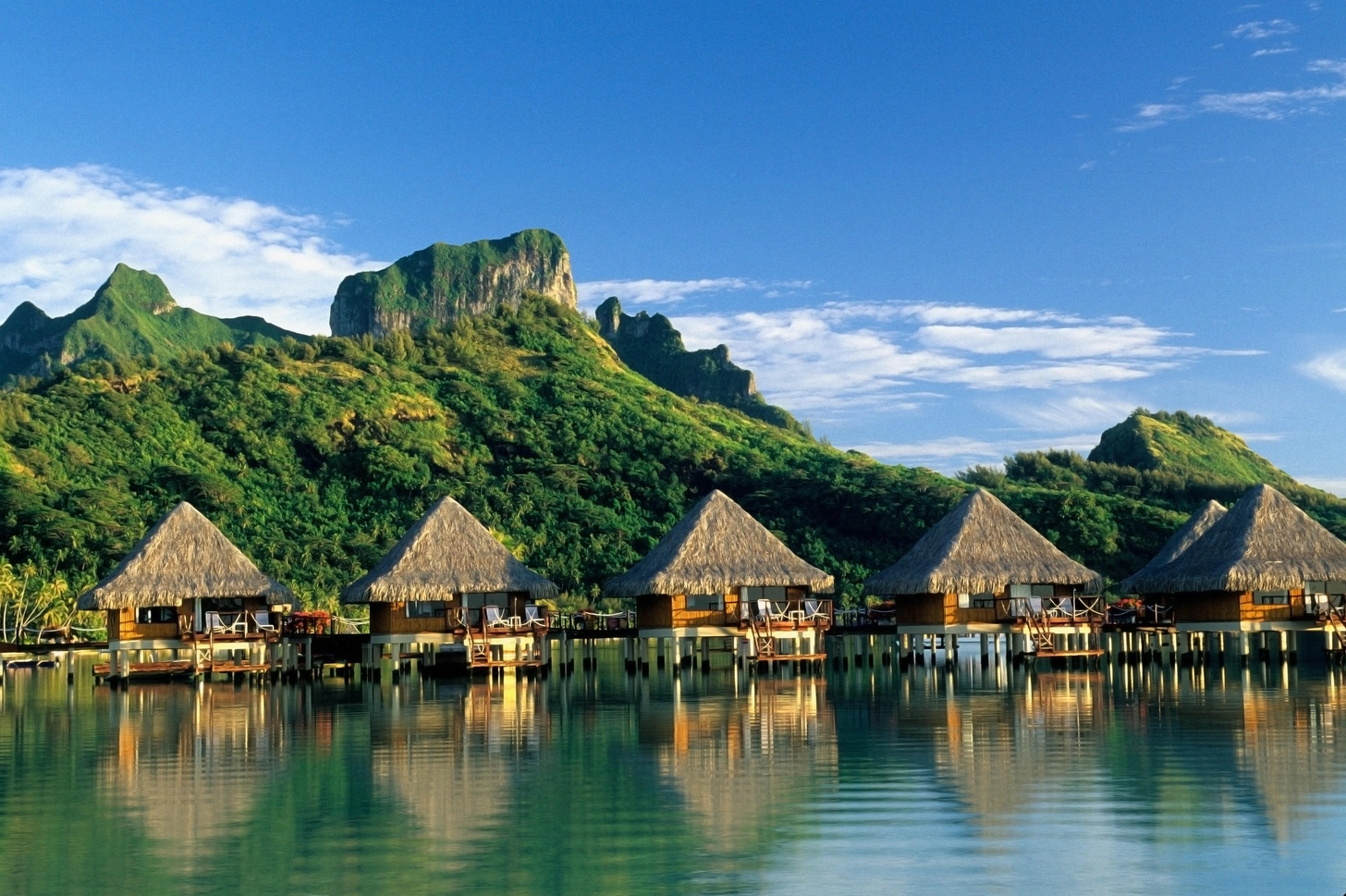 Pussy ultratovush fotosurati