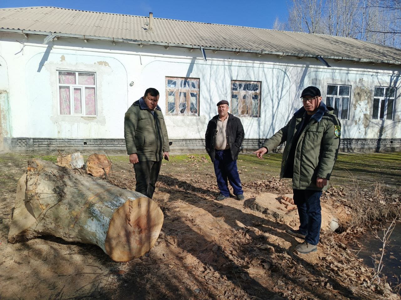 <p><b><strong>Samarqandda chinor kesgan shaxs tabiatga 115 mln so&lsquo;m zarar yetkazdi</strong></b></p>