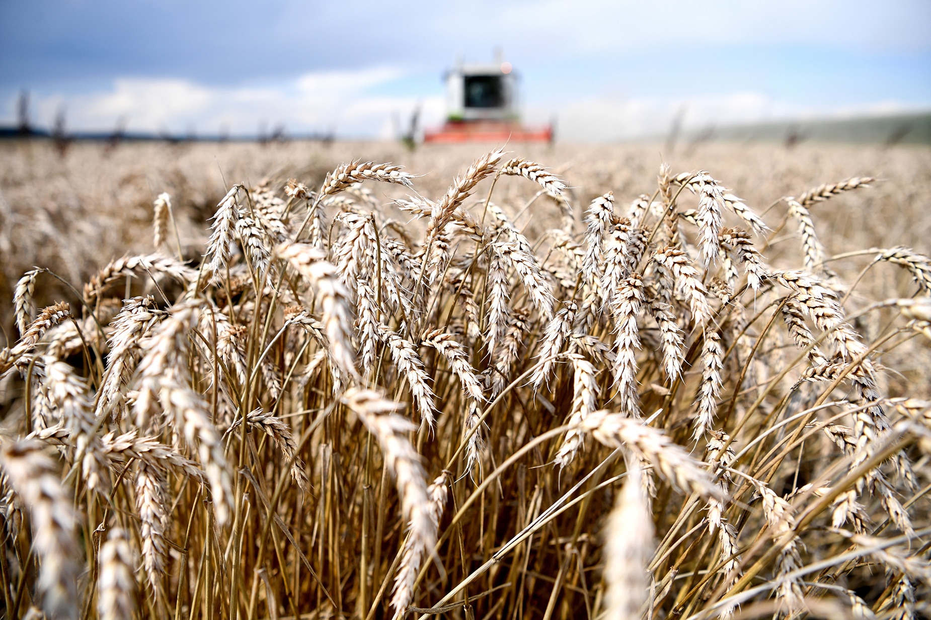 <p>Kazakhstan plans to introduce AI-driven solutions in agriculture by 2025-2026<b> </b></p>