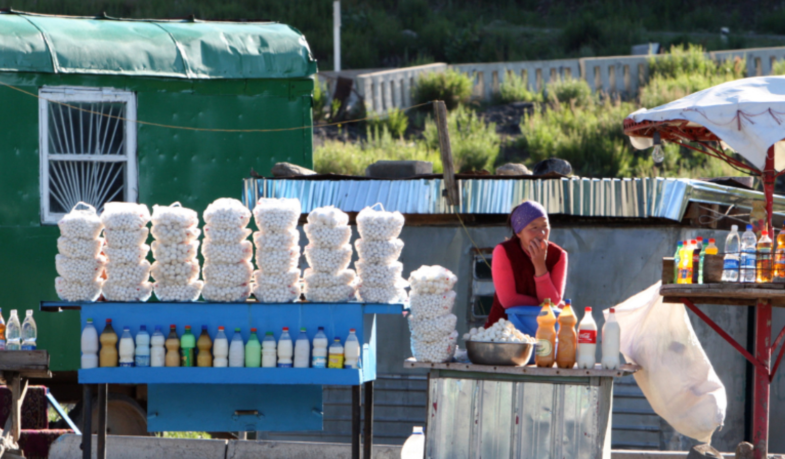 <p>FAO, Kyrgyzstan partner to strengthen food safety and quality standards<b>&nbsp;</b></p>