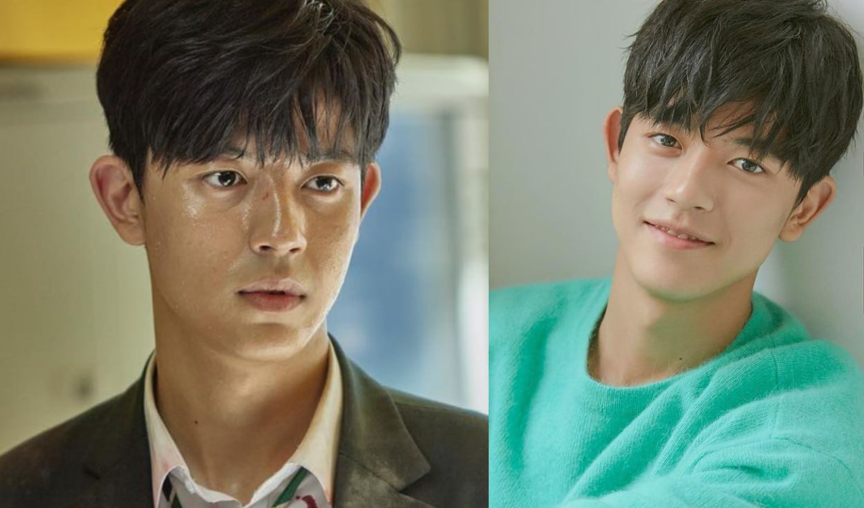 Chiroyli mushuklarning yaqindan olingan fotosuratlari