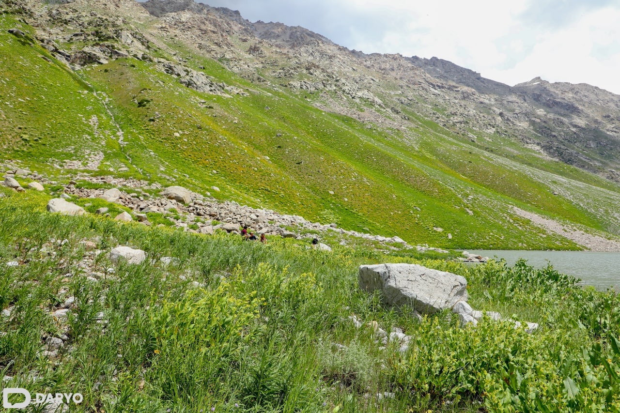 Uzbekistan adopts new environmental assessment law, mandates public hearings 