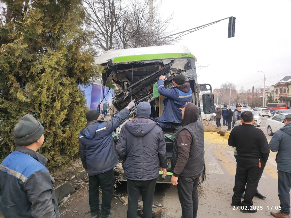 Водитель автобуса, столкнувшегося с деревом в Ташкенте, рассказал подробности происшествия&nbsp;