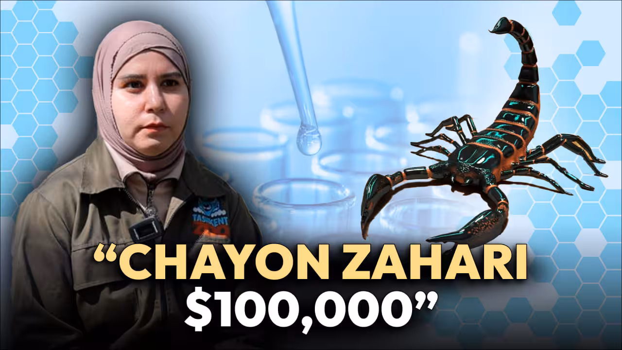 <p><b>Chayon zahri: o‘lim xavfimi yoki shifo manbayi?</b></p>