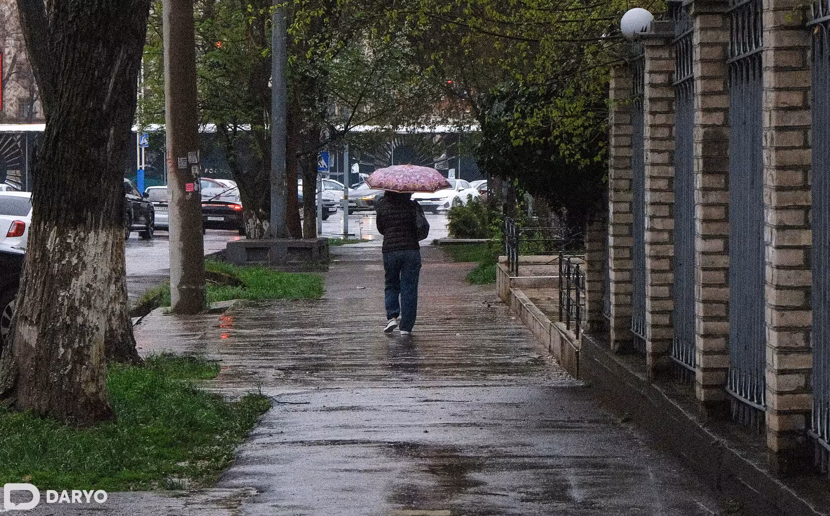 <p><b>O‘zbekistonda 28-mart kuni yomg‘ir yog‘ishi ehtimoli bor hududlar ma’lum qilindi</b></p>