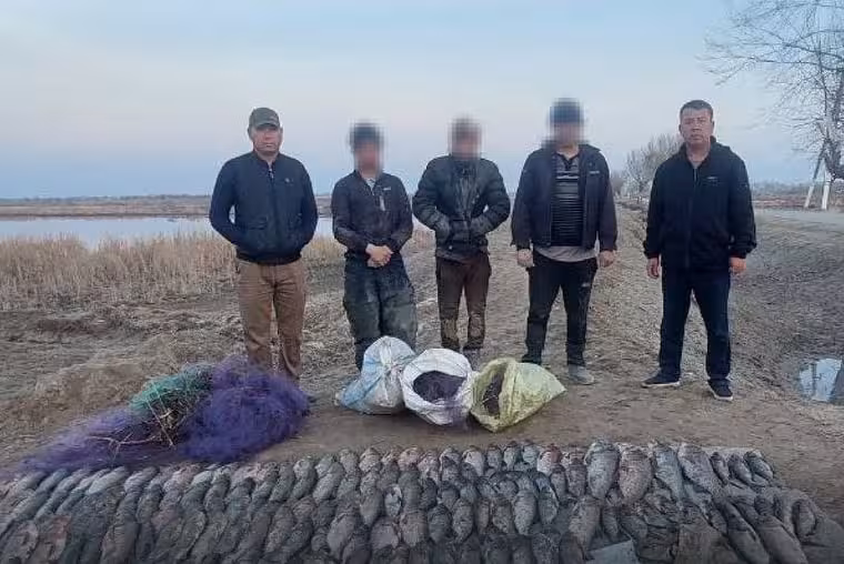 <p><b><strong>Qoraqalpog&lsquo;istonda noqonuniy baliq ovlash natijasida tabiatga 752 mln so&lsquo;m zarar yetkazildi</strong></b></p>