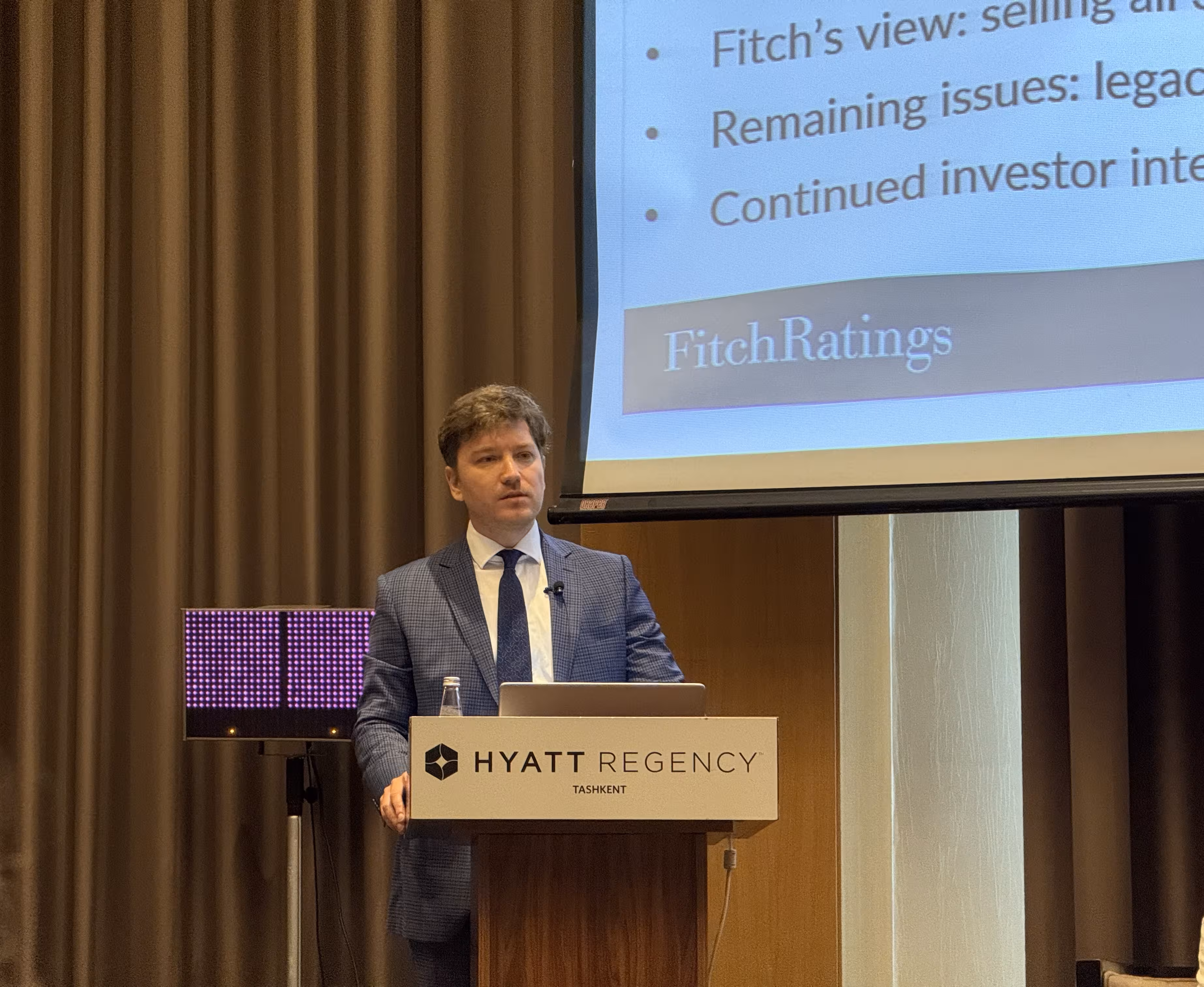 <p>&ldquo;Full privatization of banks will be difficult and likely postponed,&rdquo; says Fitch Ratings<b>&nbsp;</b></p>