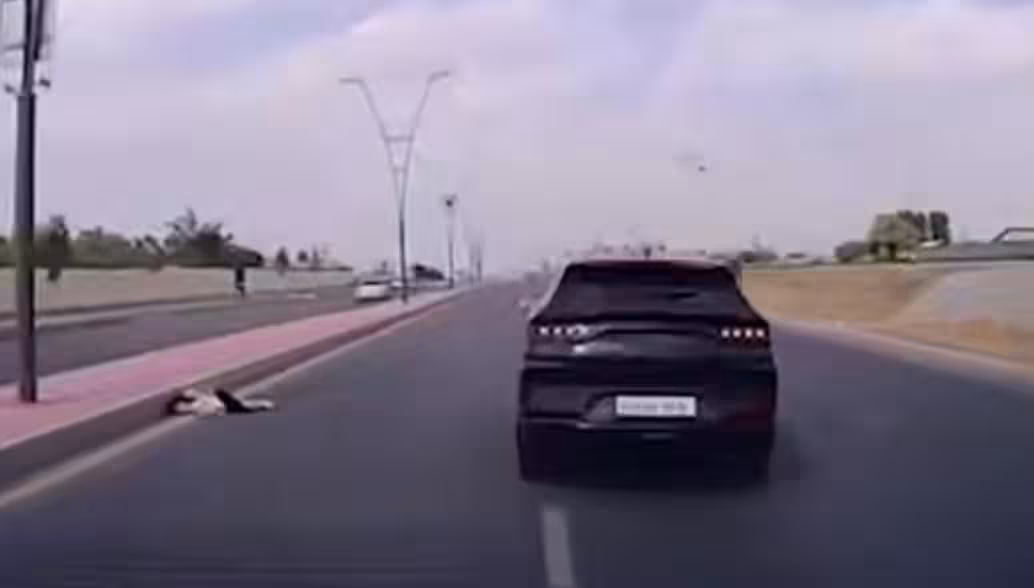 <p><b><strong>Toshkentda 9 yoshli qizning o‘limiga sababchi bo‘lgan BYD haydovchisiga chora ko‘rildi (video)</strong></b></p>