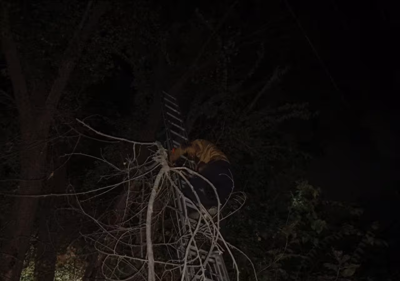 <p><b><strong>Kuchli shamol oqibatida Toshkent shahri va viloyatida qariyb 19 ming isteʼmolchi “svet”siz qoldi</strong></b></p>