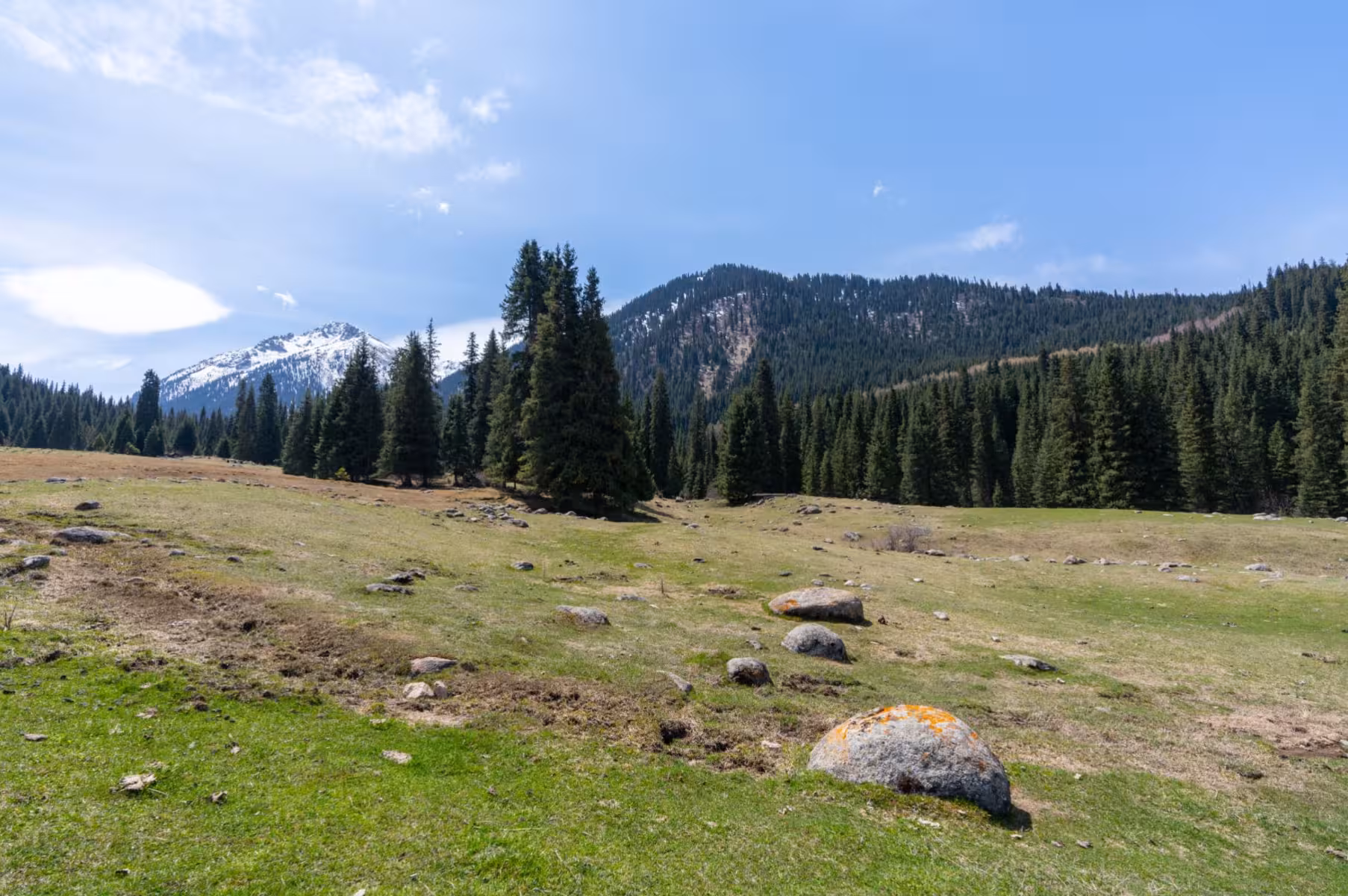 Kyrgyzstan announces creation of 800,000-hectare ecological corridor to protect biodiversity&nbsp;