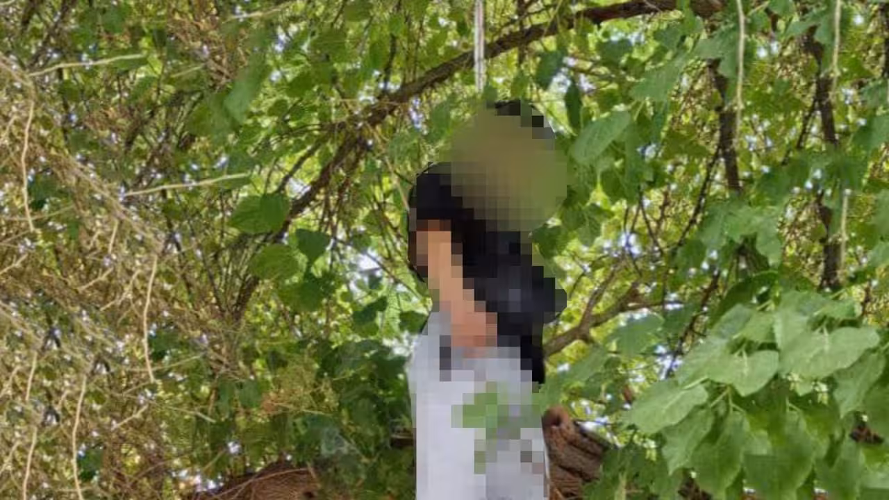 <p><b><strong>Toshkentda 19 yoshli yigit daraxtga osilgan holda topildi</strong></b></p>