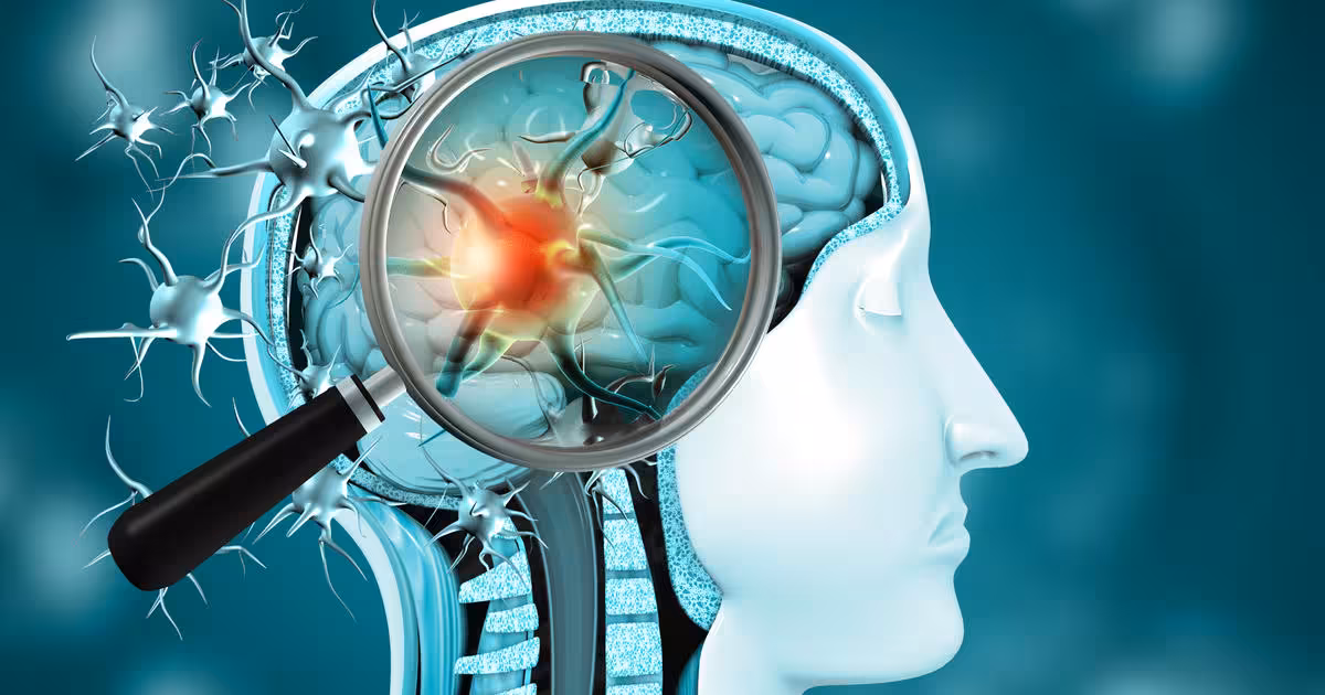 Foto: Scientific American