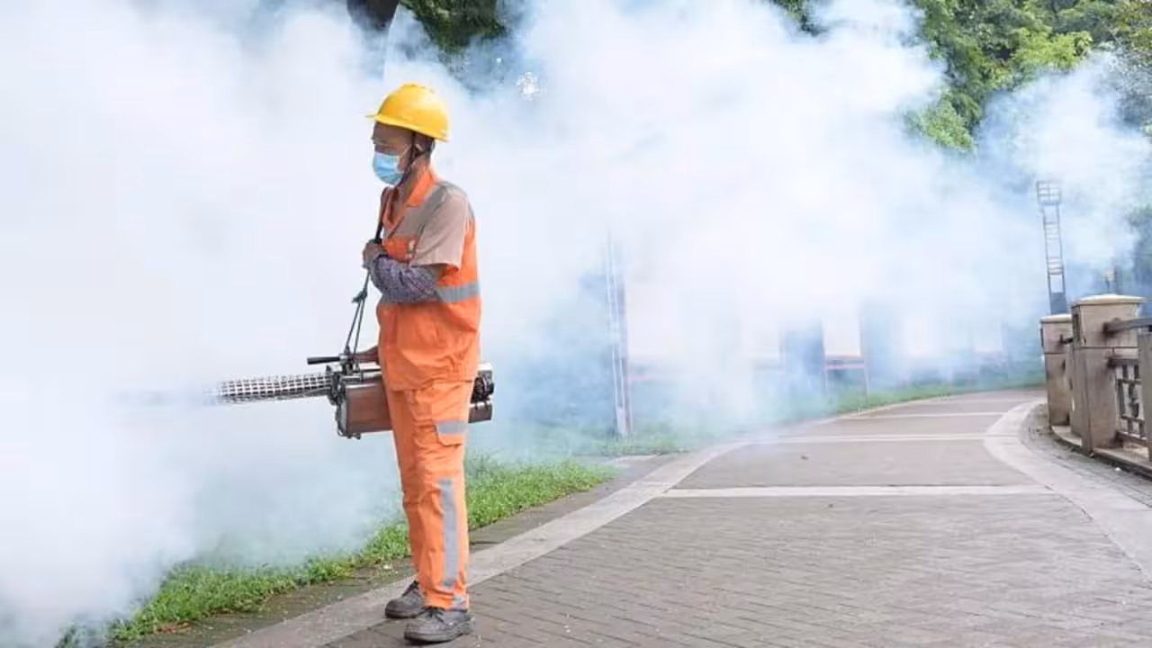 Xitoyda chivin orqali yuqadigan kasallik avj olmoqda: bemorlar soni 7 mingga yetdi