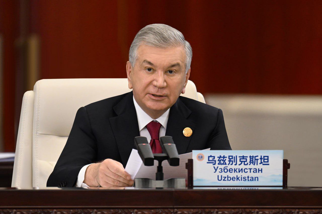 Uzbekistan’s president calls for adoption of SCO declaration on nuclear security at Tianjin summit