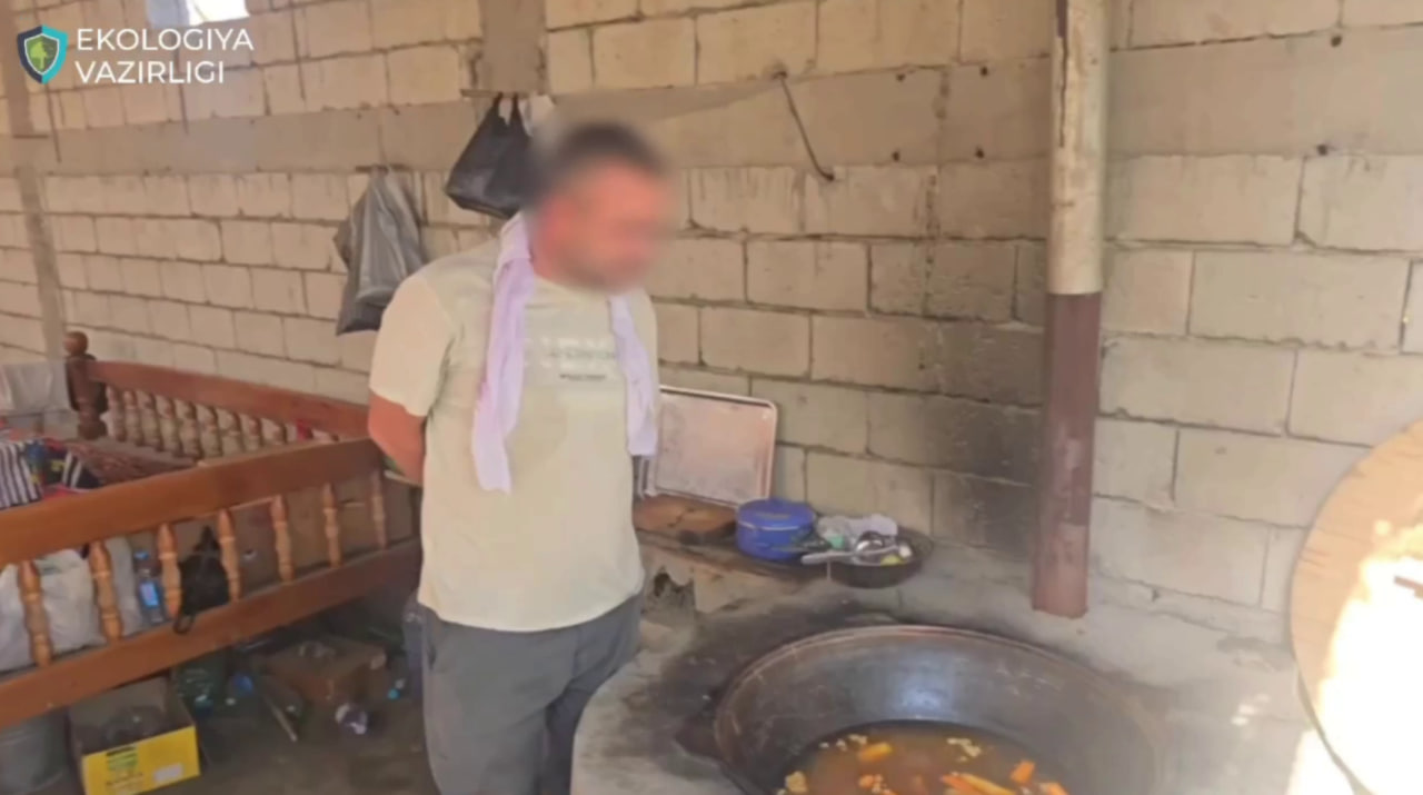 Fargʻonada tipratikan va ilondan shoʻrva tayyorlab sotilayotgani aniqlandi (video)