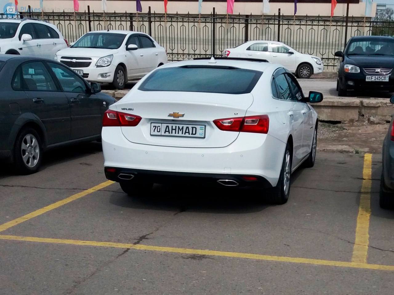 В Узбекистане разрешат установить имя в качестве автомобильного номера