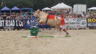 Fransiyada festival ishtirokchisini ot, so‘ng buqa va avtomobil urib yubordi