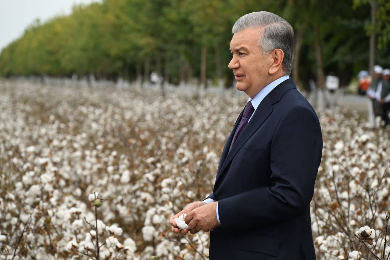 Prezident loyiha qiymati 3 mln dollarlik baliqchilik korxonasi faoliyati bilan tanishdi
