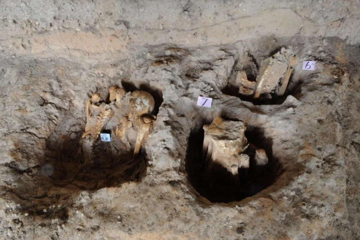 Xitoyda mumiyolash Misrdan ancha oldin boshlangan — xalqaro tadqiqot