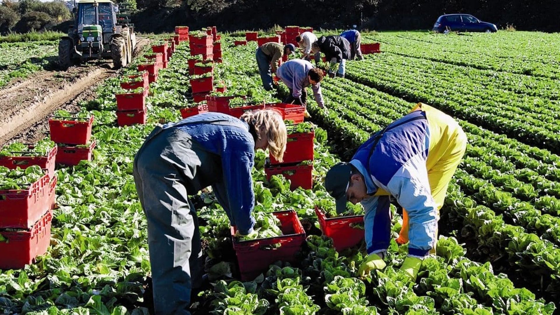 Uzbek citizens to benefit from higher seasonal work quotas in UK