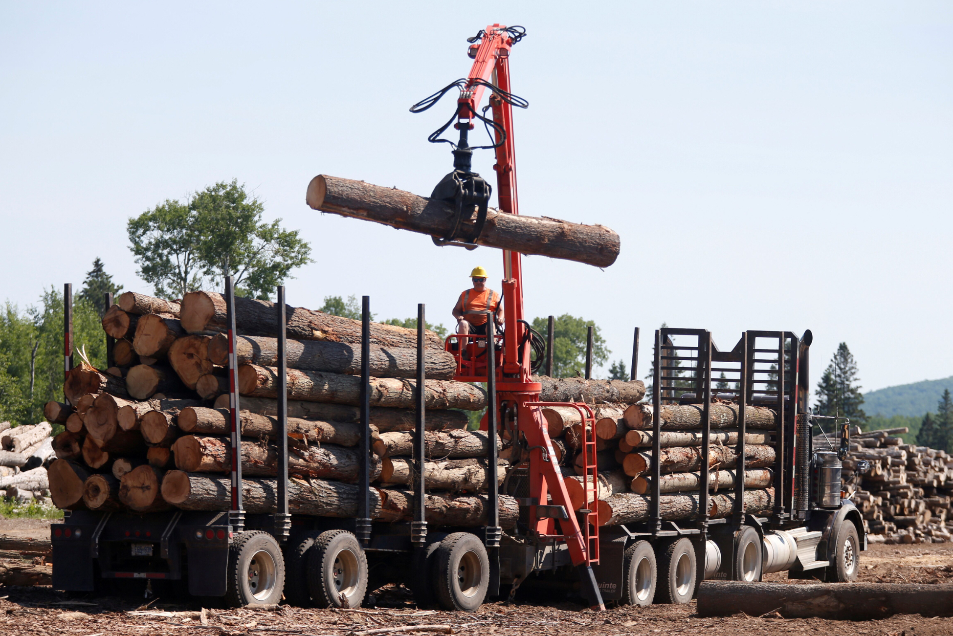 US lumber prices drop: A warning bell for the economy?