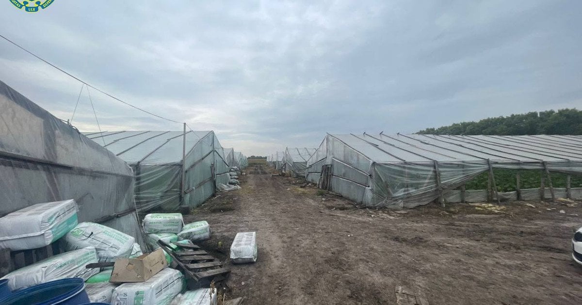 Ukrainada qul sifatida foydalanilgan 13 nafar o‘zbekistonlik bo‘yicha vaziyat nazoratga olindi — TIV