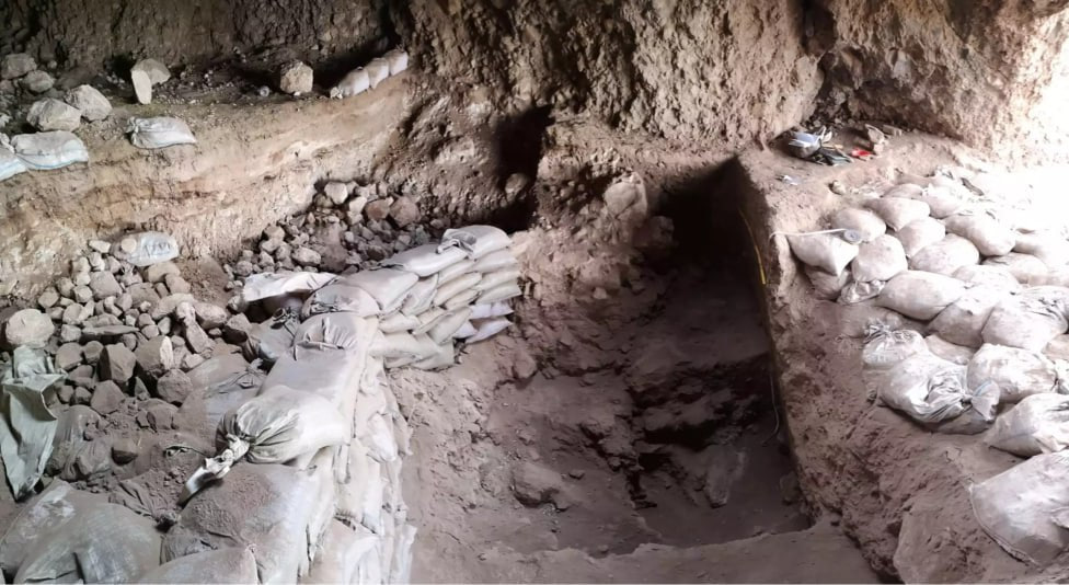 Surxondaryoda qadimiy mehnat qurollari va yovvoyi donli o‘simliklar qoldiqlari topildi